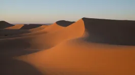 L1001019
