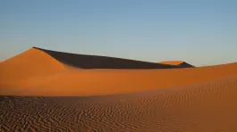 L1001000