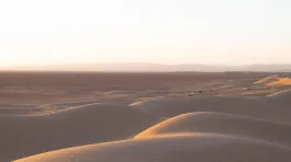 L1001015