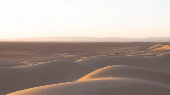 L1001015